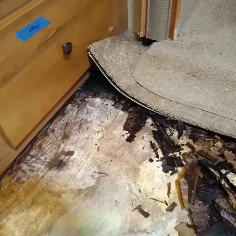 Best Wood Floor Water Damage Service in Manti, UT